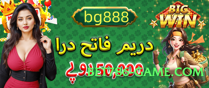 Pro winpkr Premium v5.1.0 Screenshot 4